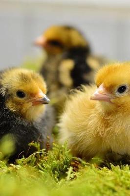 Book cover for Baby Chicks in a Moss Bed Journal