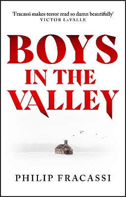 Book cover for Boys in the Valley