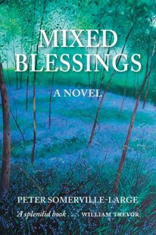 Cover of Mixed Blessings