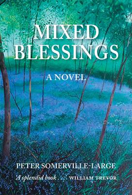 Book cover for Mixed Blessings
