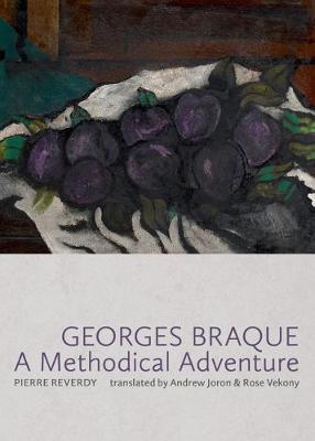 Book cover for Georges Braque: A Methodical Adventure