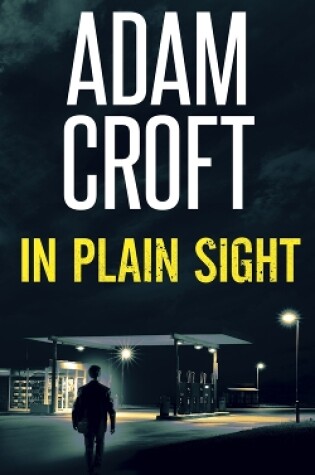 Cover of In Plain Sight