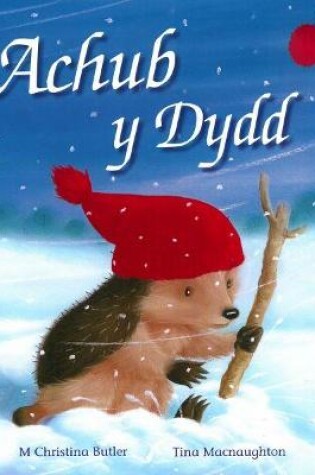 Cover of Cyfres Draenog Bach: Achub y Dydd