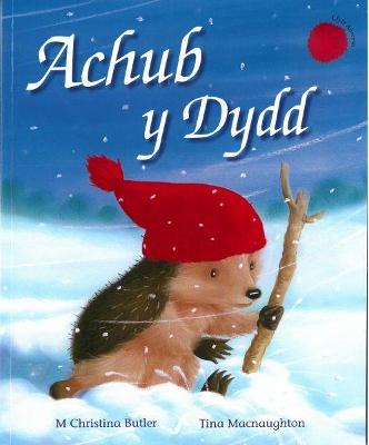 Book cover for Cyfres Draenog Bach: Achub y Dydd