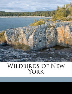 Book cover for Wildbirds of New York