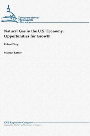 Cover of Natural Gas in the U.S. Economy