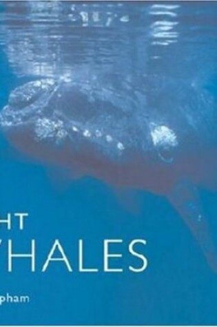 Cover of Right Whales