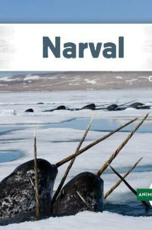 Cover of Narval (Narwhal)
