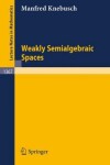 Book cover for Weakly Semialgebraic Spaces