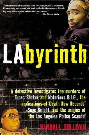 Cover of Labyrinth