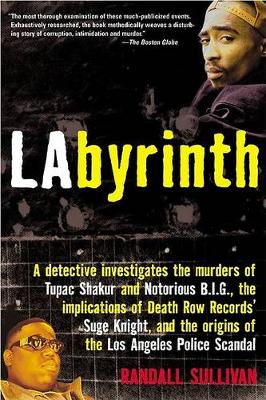 Book cover for Labyrinth