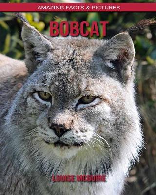 Book cover for Bobcat