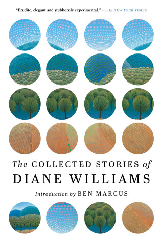 Cover of The Collected Stories of Diane Williams