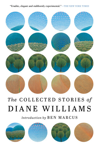 Book cover for The Collected Stories of Diane Williams