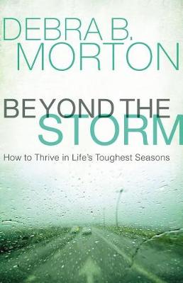 Cover of Beyond the Storm