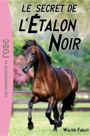 Cover of L'Etalon Noir 09 - Le Secret de L'Etalon Noir