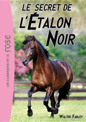Book cover for L'Etalon Noir 09 - Le Secret de L'Etalon Noir