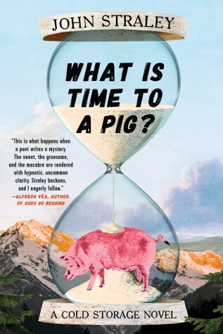 Cover of What Is Time to a Pig?