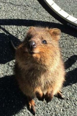 Cover of Cute Little Quokka Standing by a Bicycle Journal