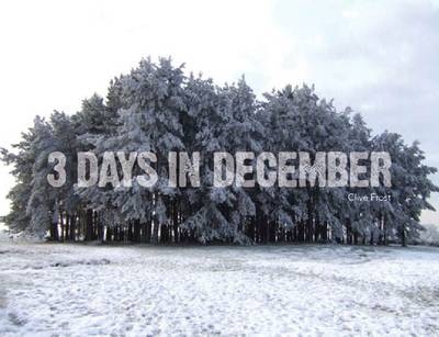 Cover of 3 Days in December