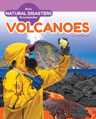 Book cover for Volcanoes