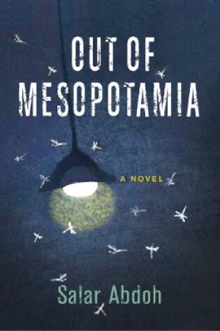 Cover of Out of Mesopotamia