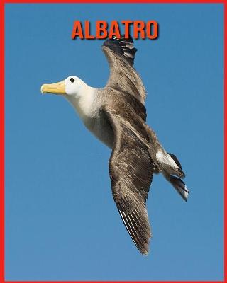 Book cover for Albatro