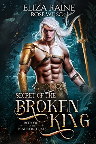 Book cover for Secret of the Broken King