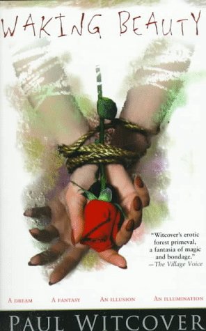 Book cover for Waking Beauty