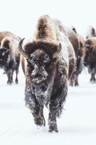 Cover of Bison American Buffalo Trudging Through the Snow Journal