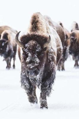 Book cover for Bison American Buffalo Trudging Through the Snow Journal