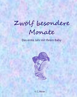 Book cover for Zw lf Besondere Monate