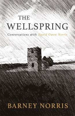 Book cover for The Wellspring