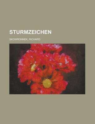 Book cover for Sturmzeichen