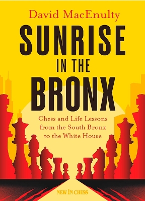 Book cover for Sunrise in the Bronx