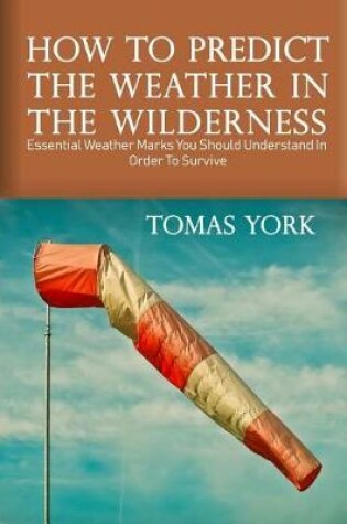 Cover of How to Predict the Weather in the Wilderness