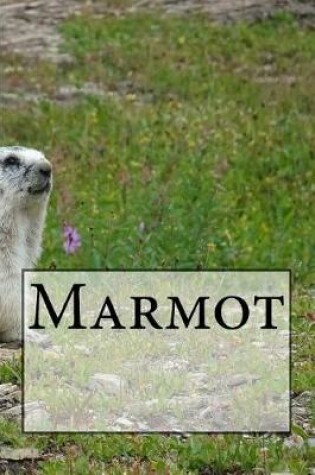 Cover of Marmot