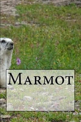 Book cover for Marmot