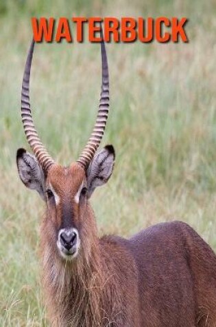 Cover of Waterbuck