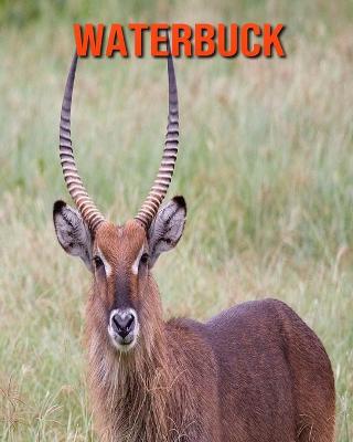 Book cover for Waterbuck