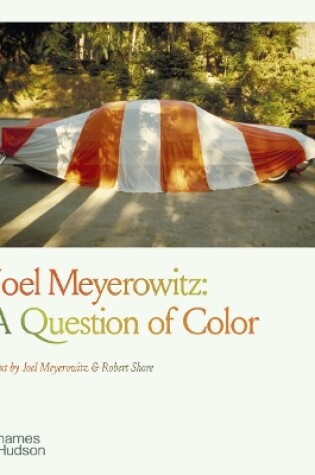 Cover of Joel Meyerowitz: A Question of Color