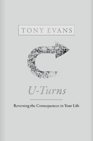 Cover of U-Turns