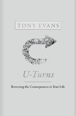 Book cover for U-Turns