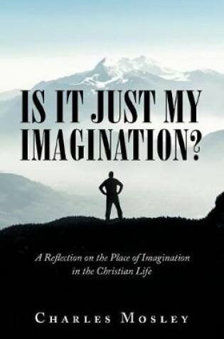 Cover of Is It Just My Imagination?