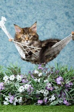 Cover of A Maine Coon Kitten in a Hammock