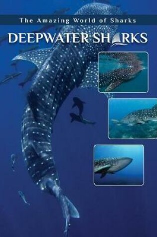 Cover of Deepwater Sharks