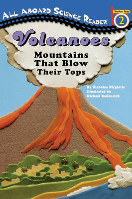 Book cover for Volcanoes