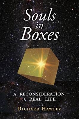 Book cover for Souls in Boxes