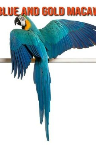 Cover of Blue and Gold Macaw