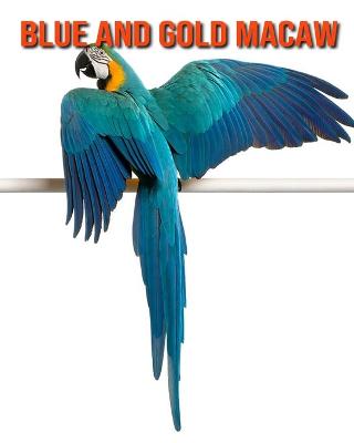 Book cover for Blue and Gold Macaw
